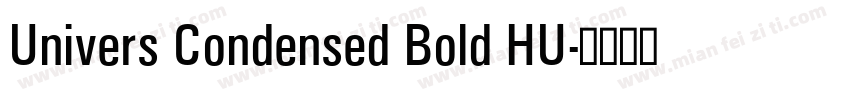 Univers Condensed Bold HU字体转换